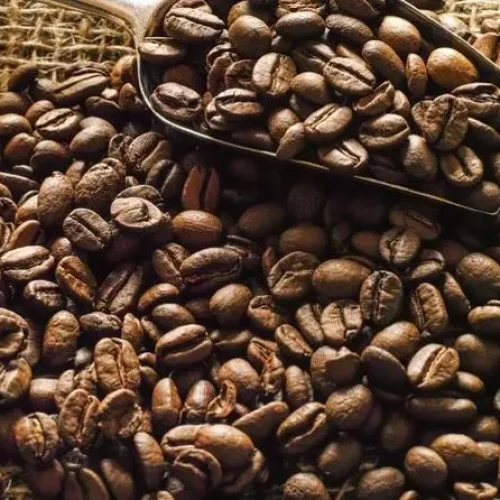 visite dégustation de café karatu