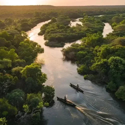 vue-aerienne-parc-national-de-nyerere