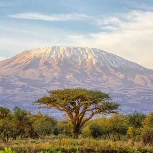 vue classique du mont Kilimandjaro en Tanzanie depuis Amboseli au Kenya
