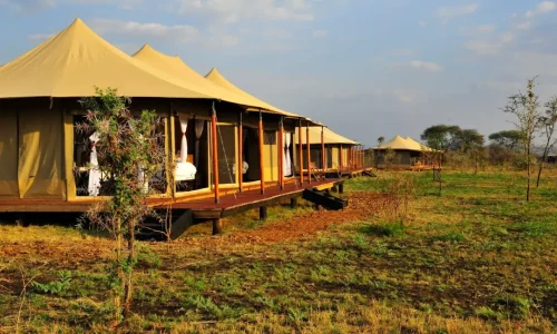 vue coucher de soleil glimpse of africa safari camp