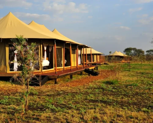 vue coucher de soleil glimpse of africa safari camp