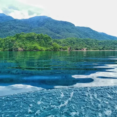 vue du lac Tanganyika dans le parc national de Mahale
