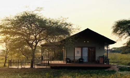 vue extérieure sametu serengeti camp
