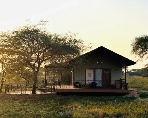 vue extérieure sametu serengeti camp
