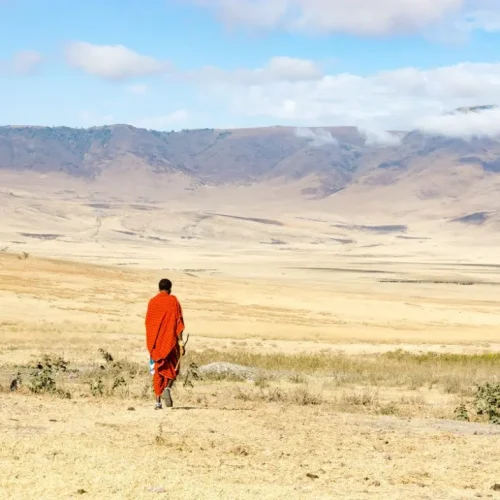 vue homme maasaï ngorongoro