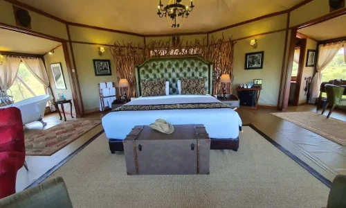 vue intérieure des chambres tarangire kuro treetops