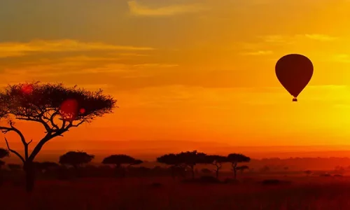 vue-nocturne-serengeti-experience-safari-montgolfiere