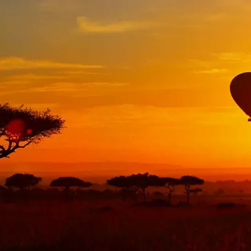 vue-nocturne-serengeti-experience-safari-montgolfiere