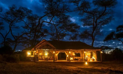vue nocturne tarangire kuro treetops