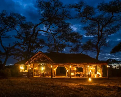 vue nocturne tarangire kuro treetops