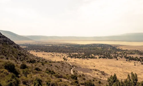 vue-panoramique-du-cratère-du-ngorongoro