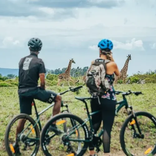 vues vélo parc national d’arusha(1)