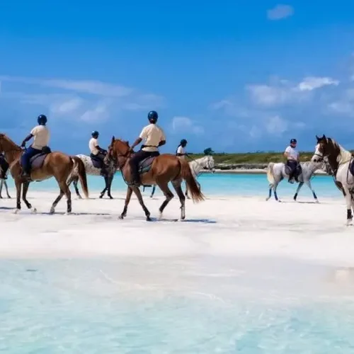 Équitation sur la Plage à Zanzibar