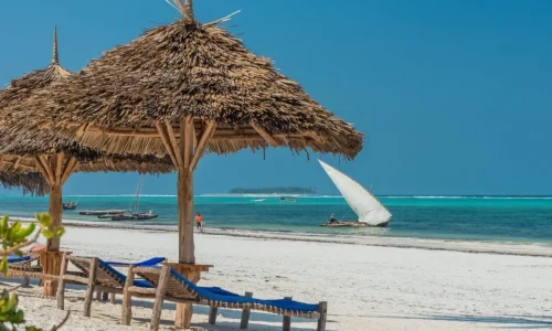 zanzibar-resort-transats-sous-palmier