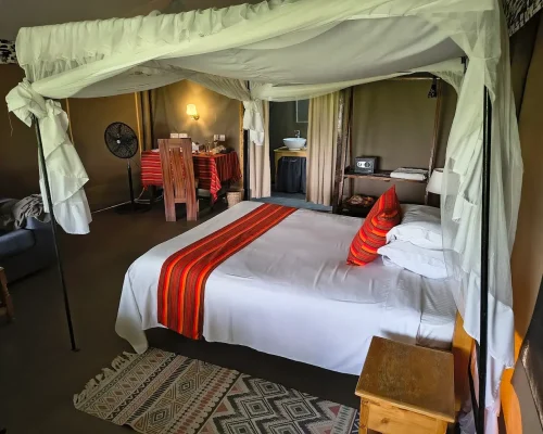 zebra-plains-tented-camp-rooms
