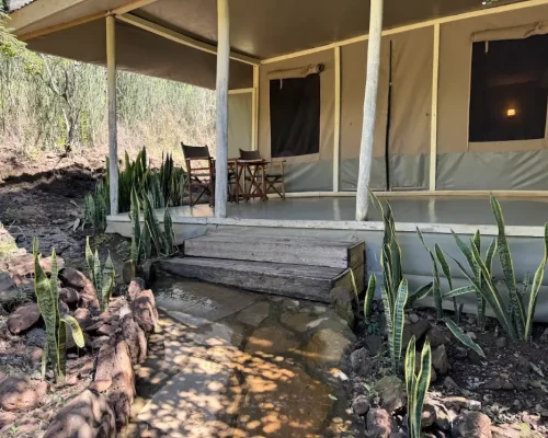 zebra-plains-tented-camp-view