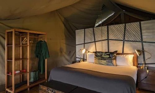 Zuri camp