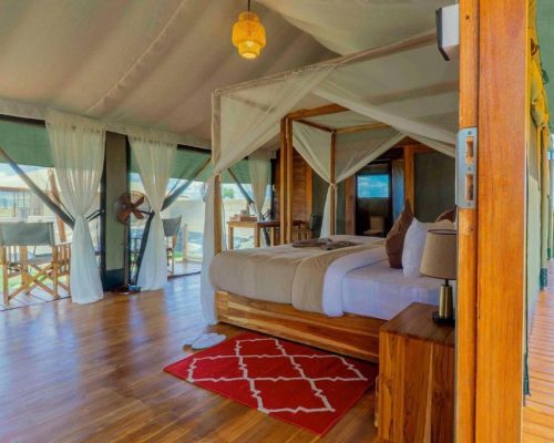 Zuri camp